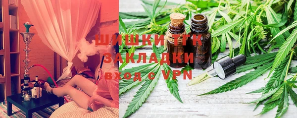 твердый Протвино
