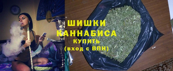 дмт Алзамай